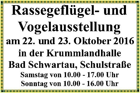 Zur Zeit sind keine Termine hinterlegt.